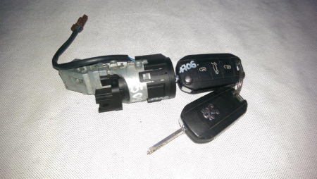 Electrica si electronica auto - Modul pentru Peugeot 508 I