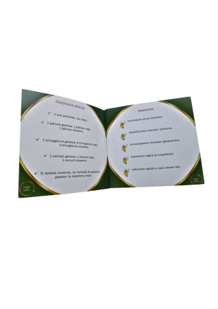 OMLETA „FRANȚUZEASCĂ” A LUI AIRUREL- set educațional [2]