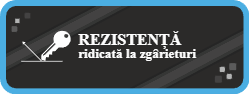 Rezistenta ridicata