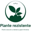 planterezistente.ro