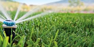 Amenajare spații verzi profesionale: gazon perfect, irigații automatizate și întreținere corectă pe termen lung