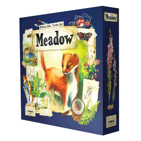 Animale - Meadow tableau building natura acuarela specii peisaje Rebel Studio limba romana