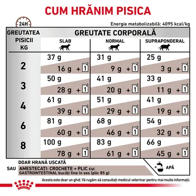 Royal Canin Cat Gastro Intestinal 4kg [3]