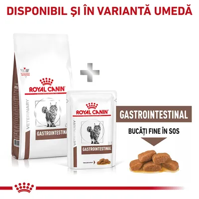 Royal Canin Cat Gastro Intestinal 4kg [4]