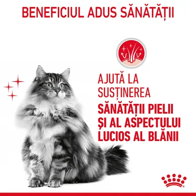 Royal Canin Hair & Skin Care 2 kg [3]