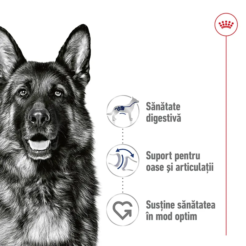Royal Canin Maxi Adult în sos 140 g [2]