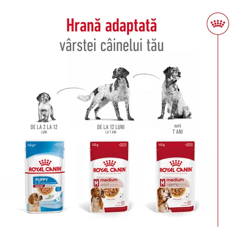 Royal Canin Medium Adult plic 140g [3]