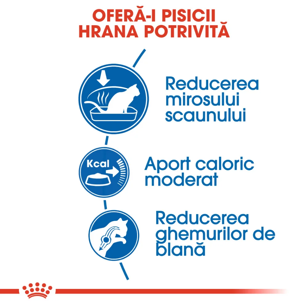 Royal Canin Pisici ROYAL CANIN Indoor Adult, hrană uscată pisică de interior, 10kg [2]