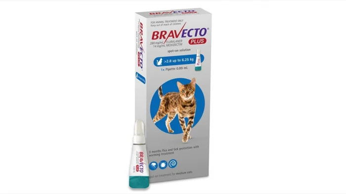 Produse deparazitare - Bravecto plus Cat 250mg 2.8-6.25kg x1pipeta