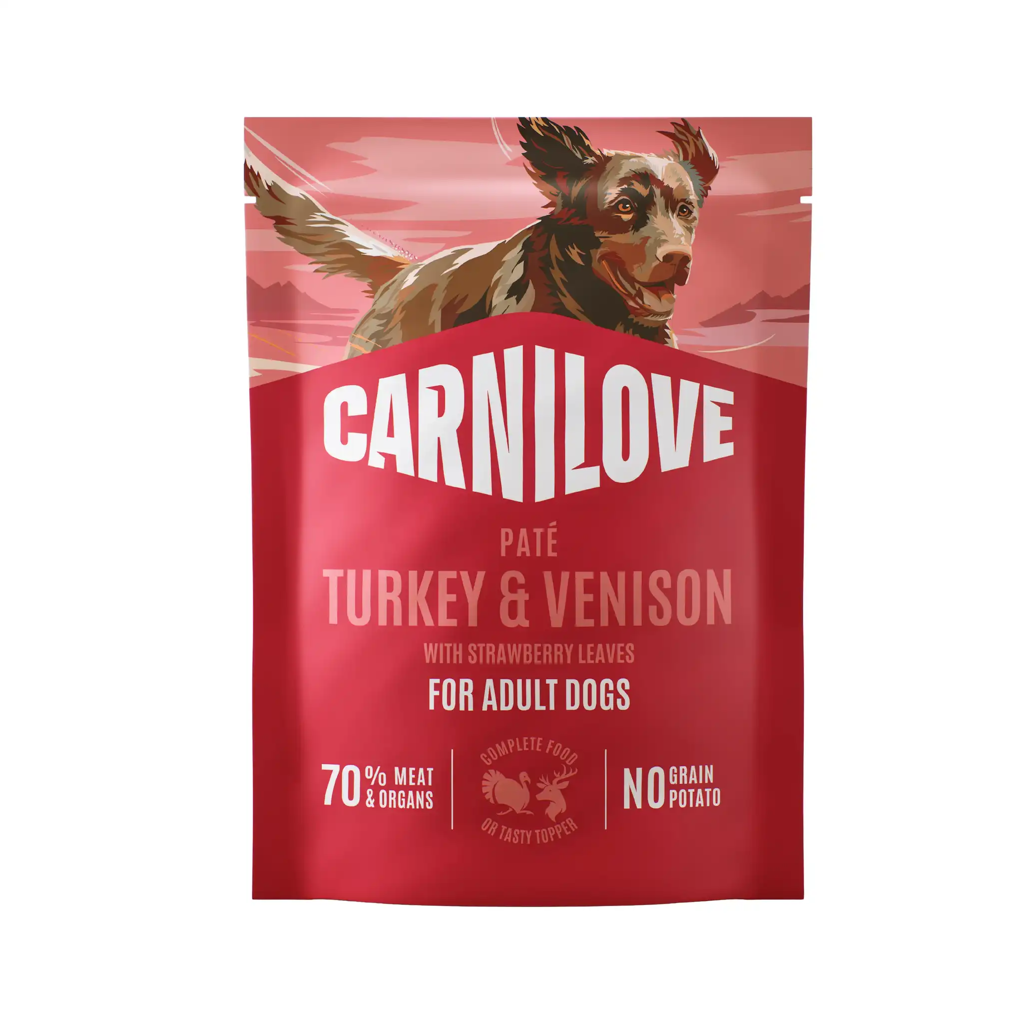 Hrana umeda caini - Hrana umeda pentru caini, Carnilove, plic cu pate din Curcan si Vanat  300 G
