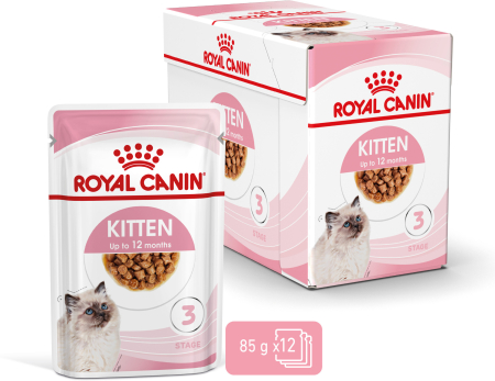 Juniori pisici - Hrana umeda pentru pisici Royal Canin, Kitten, pentru pisici junior, in sos, 12x85g