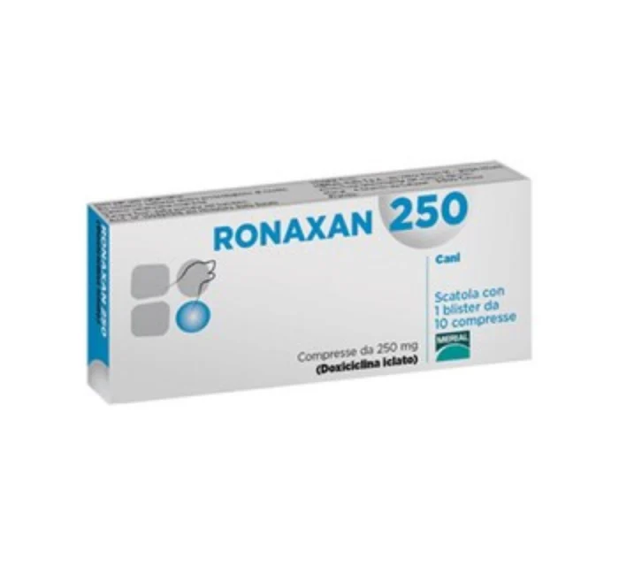 Medicamente - Ronaxan 250 mg x 10 cp