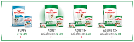 Hrana umeda caini - Royal Canin Mini Adult în sos