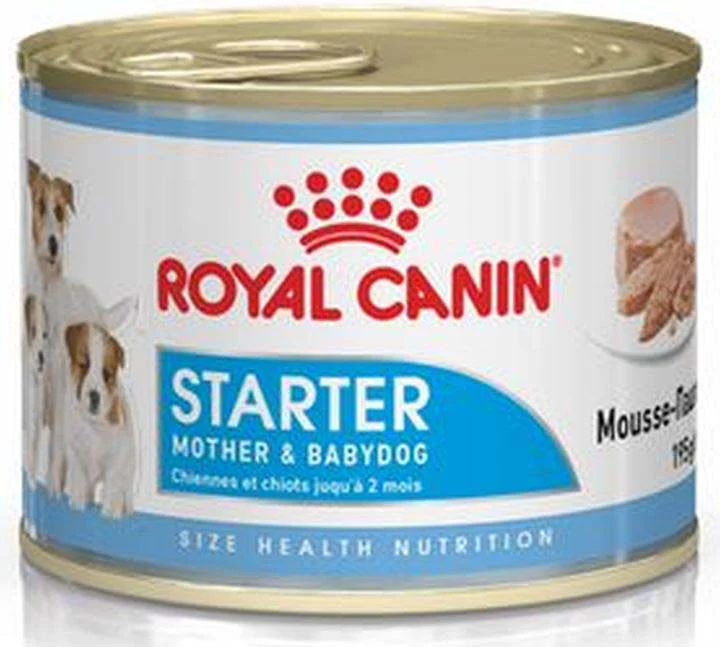 Caini - Royal Canin Starter Mousse 195g
