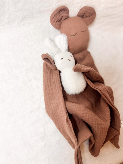 Jucării de atașament [1]