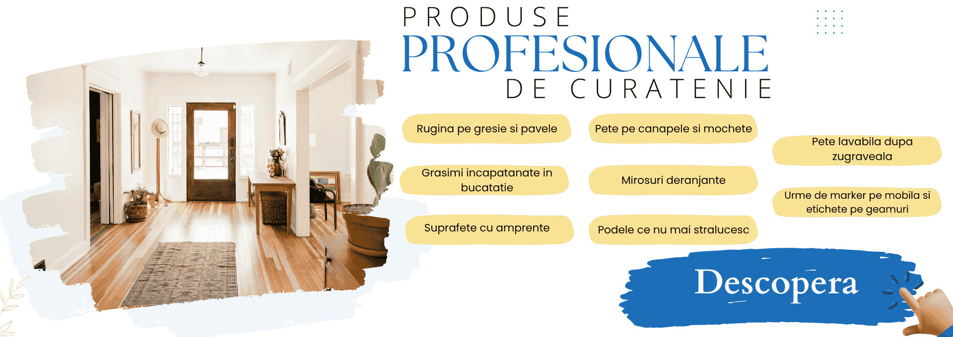 Produse profesionale de curatenie