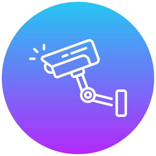 Camere video