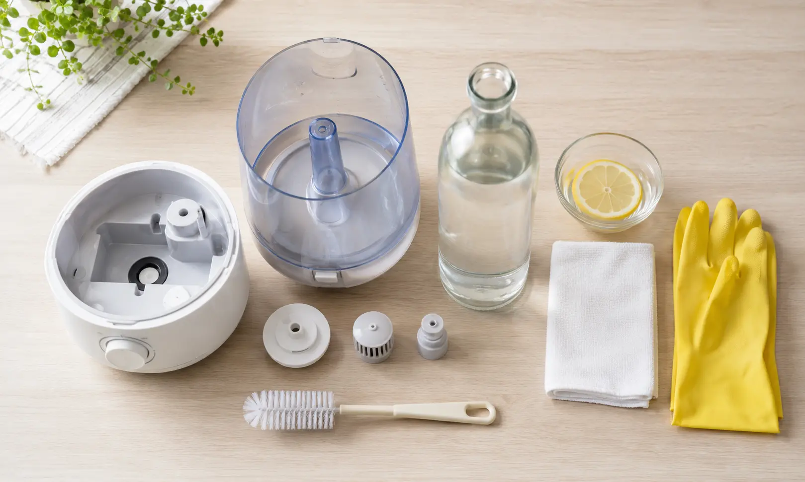 Intretinere corecta umidificator: apa distilata, curatare, otet, brush