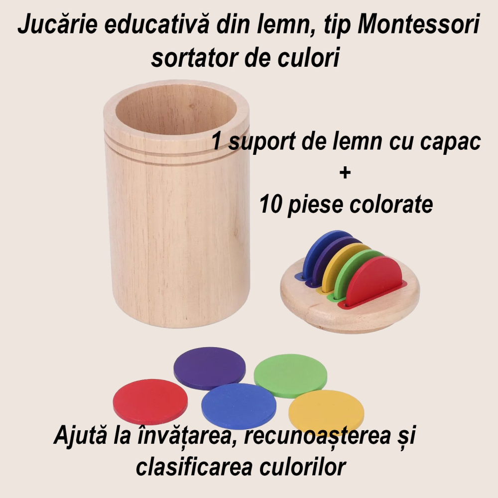 Jucarie educativa din lemn, sortator cu discuri colorate, 13 piese, saculet depozitare [3]