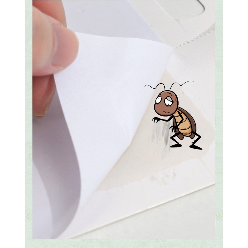 Pachet 10 -  Capcana Adeziva pentru Gandaci, model casuta, non-toxic, cu atractant [3]