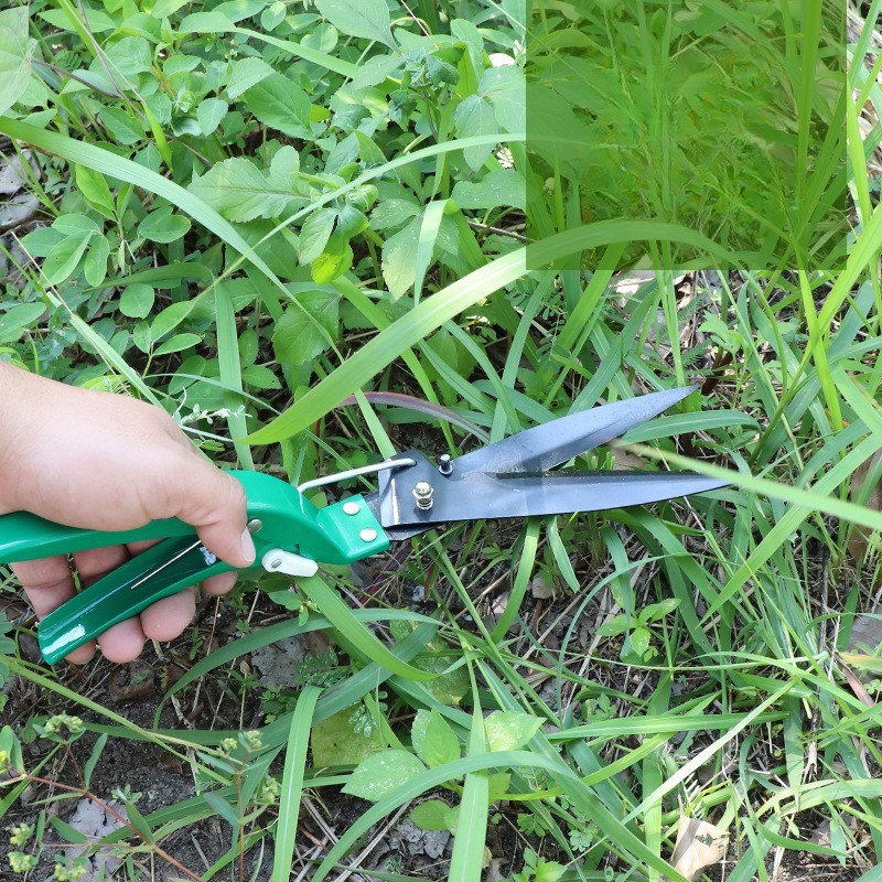 set 10 accesorii gradinarit cu geanta verde [4]