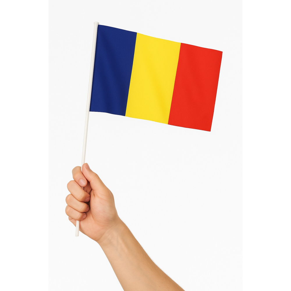Set 12 Steaguri de Mana tricolor, 20x30 cm, poliester, suport plastic [2]