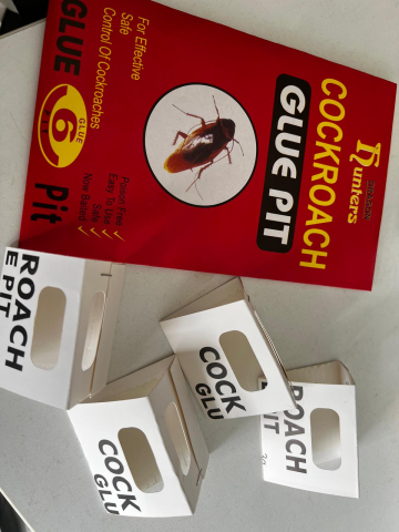 Capcana adeziva pentru gandaci, model casuta, non-toxic, cu atractant, pentru interior [2]