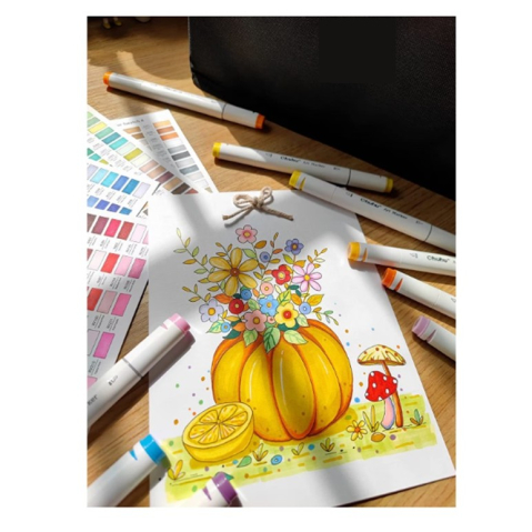 set 262 markere colorate dublu capat cu geanta depozitare [3]