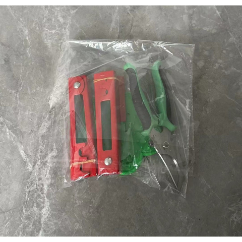 Set unelte gradinarit, 4 piese, pentru ingrijire trandafiri, otel carbon si PVC, rosu verde [6]