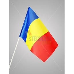 Steag de mana tricolor, 20 x 30 cm, material textil, bat plastic alb [2]
