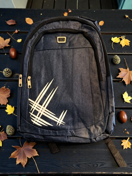 Rucsac scolar unisex gri cu imprimeu abstract si fermoare aurii [2]