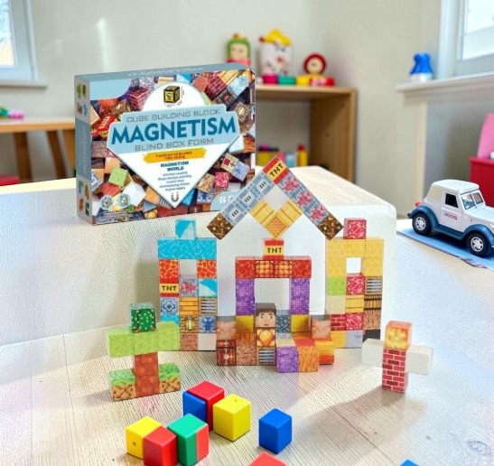 Construcție realizată din setul Magnetism World, cuburi 3D magnetice cu design pixelat. [6]