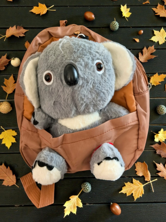 Ghiozdan pentru copii cu jucărie Koala din pluș 3D integrată, culori mixte.