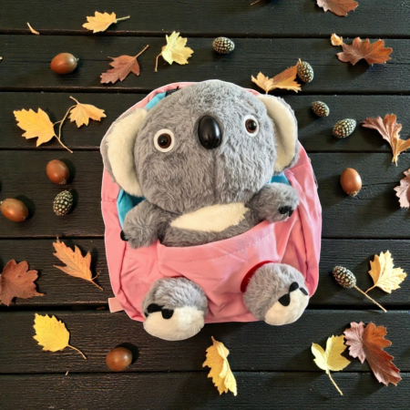 Ghiozdane și Rucsacuri - Ghiozdan pentru copii cu jucărie Koala din pluș 3D integrată, culori mixte.