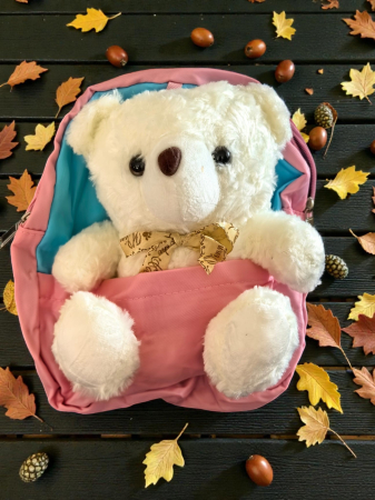 Ghiozdane și Rucsacuri - Ghiozdan albastru/roz pentru copii cu ursuleț pufos 3D și fundiță decorativă.