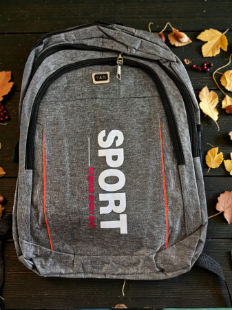 Ghiozdane și Rucsacuri - Rucsac urban ergonomic gri cu buzunar frontal și spate buretat.