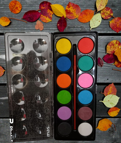 Accesorii Pictură și Desen - Paletă de 12 acuarele clasice tip watercolor pentru copii și elevi, potrivită pentru ora de desen.