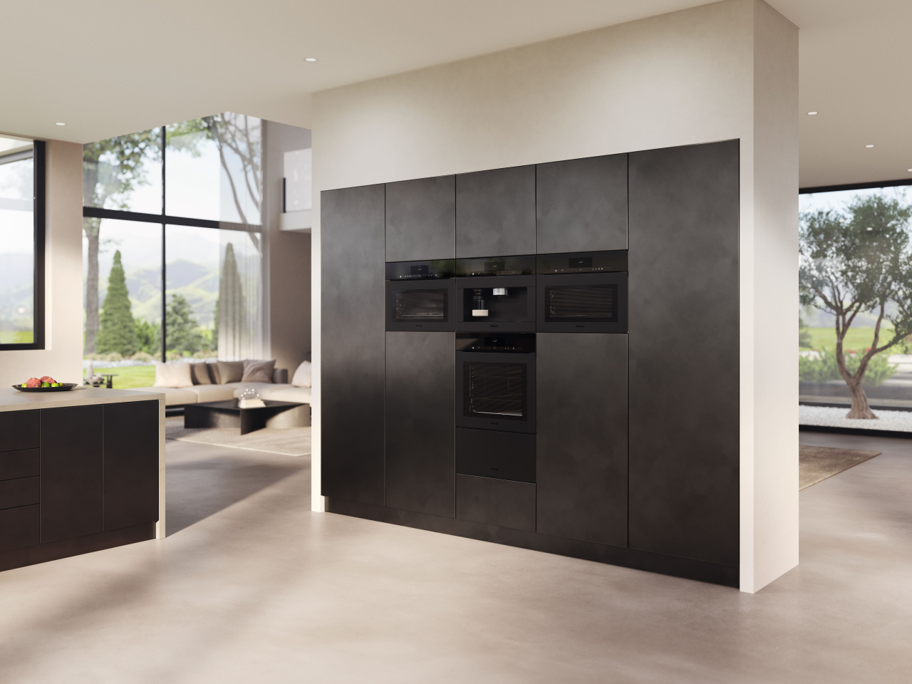 Cuptor combi cu abur Miele DGC 7865 HCX Pro 125 Gala Edition [2]