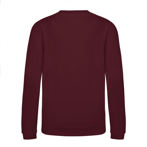Bluza copii, 80% bumbac filat cu inele/ 20% poliester,280 g/m², AWDis [10]