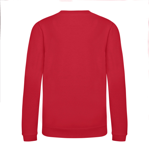 Bluza copii, 80% bumbac filat cu inele/ 20% poliester,280 g/m², AWDis [22]