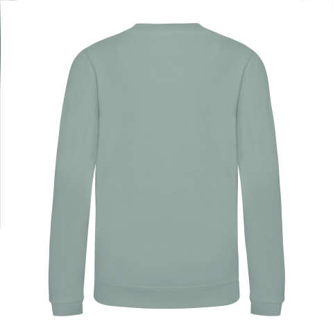 Bluza copii, 80% bumbac filat cu inele/ 20% poliester,280 g/m², AWDis [19]