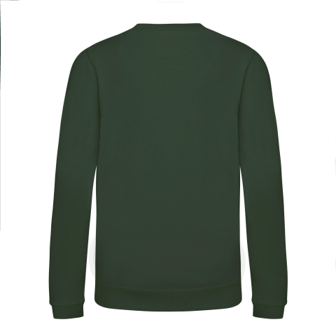 Bluza copii, 80% bumbac filat cu inele/ 20% poliester,280 g/m², AWDis [24]