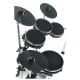 Alesis Surge Mesh Kit [6]