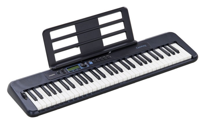 Casio CT-S300 [1]