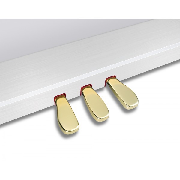 Casio GP-310 WE Celviano [6]