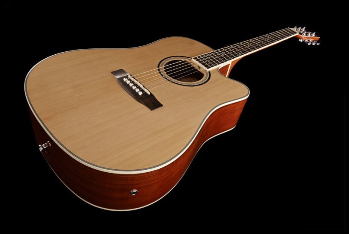 Chitara acustica Harley Benton D-120CE NT [2]
