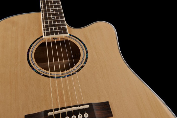 Chitara acustica Harley Benton D-120CE NT [3]