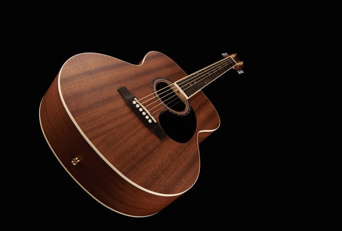 Chitara Harley Benton CG-45 NS [2]