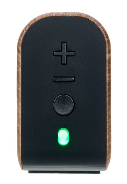 Flight Tiny6 Walnut Portable Amp [6]