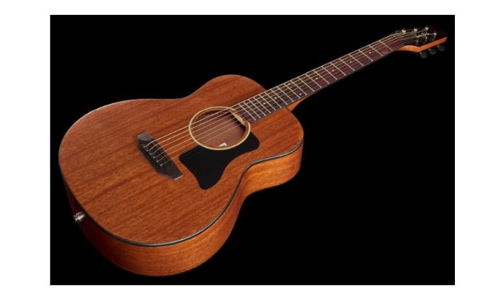 Harley Benton GS-Travel-E Mahogany [5]